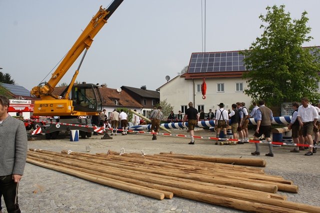 Maibaum 2013